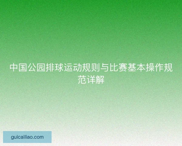 中国公园排球运动规则与比赛基本操作规范详解