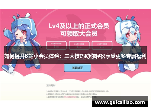 如何提升B站小会员体验：三大技巧助你轻松享受更多专属福利